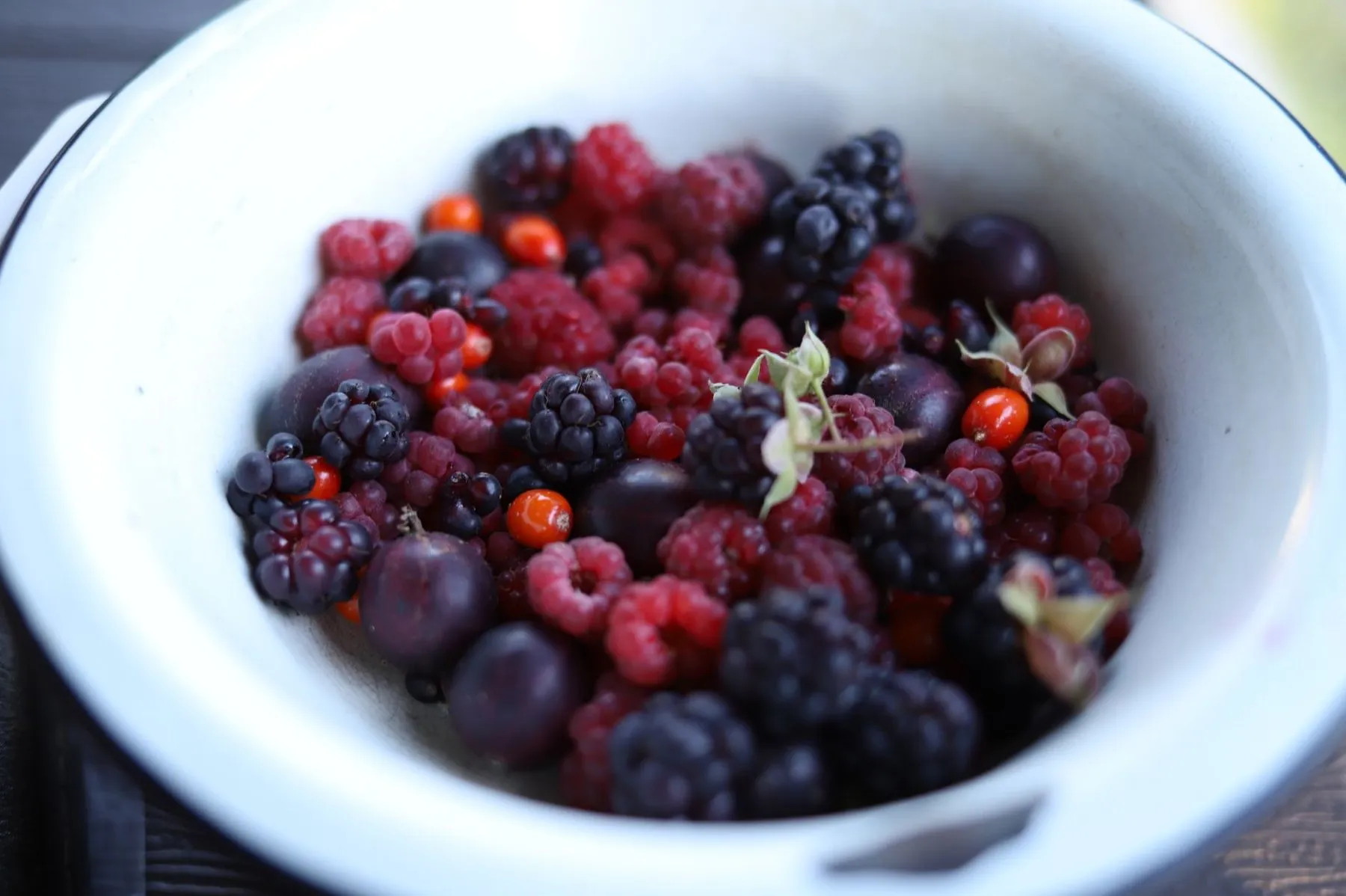 A white enamel bowl full of raspberries, blackberries and plums
